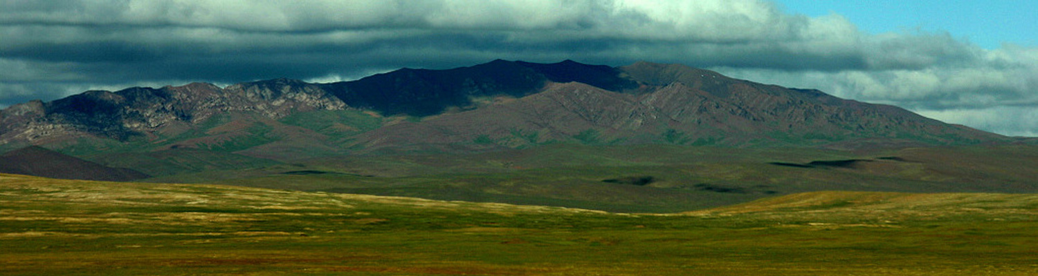 可可西里当地风景